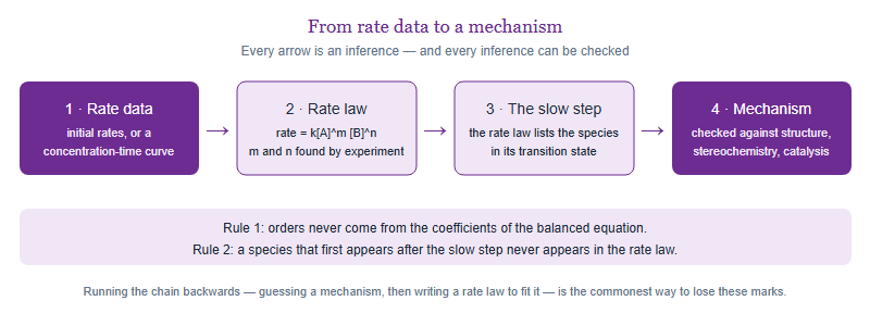 Four-stage chain showing how rate data leads to a rate law, then to the composition of the rate-determining transition state, then to a candidate mechanism, with two rules that break the chain